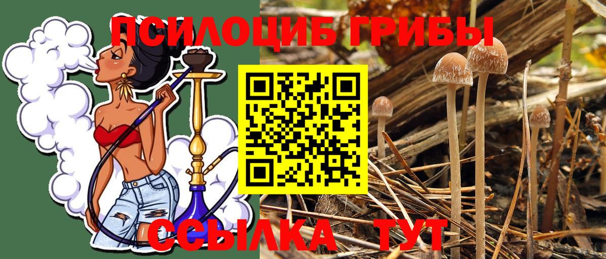 Псилоцибиновые грибы Magic Shrooms  Галлюциногенные грибы MAGIC MUSHROOMS  Вход с VPN  Иваново 